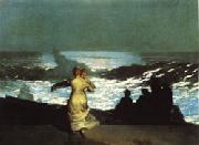 A Summer Night Winslow Homer